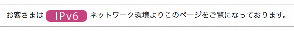 NURO光　IPv6　確認