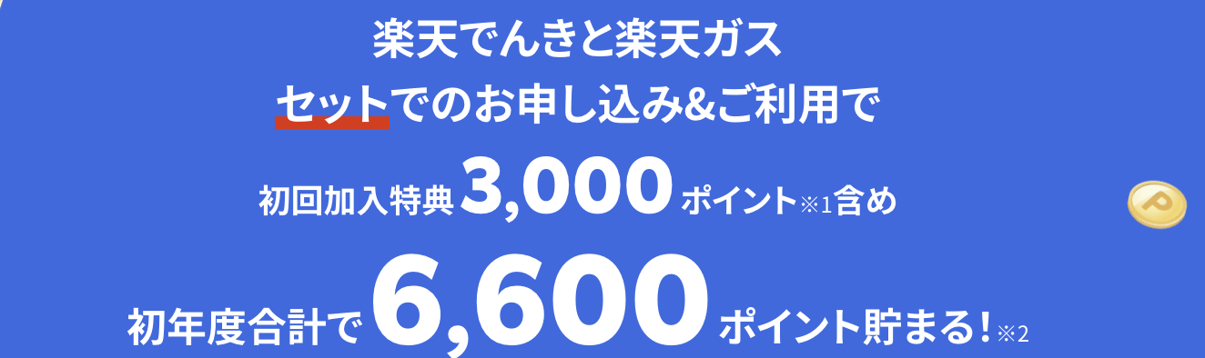 楽天でんき　キャンペーン