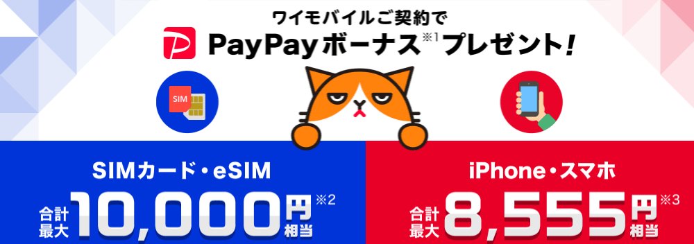 ワイモバイルヤフー店　PayPayボーナス