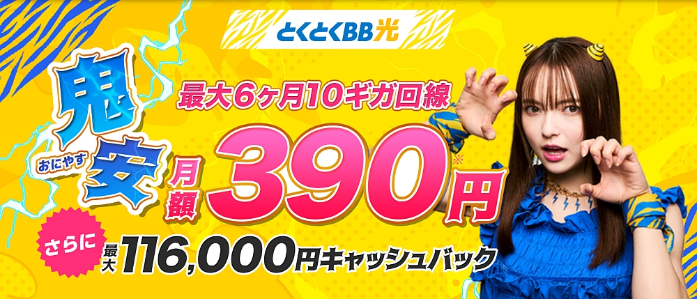 とくとくBB光 116,000円